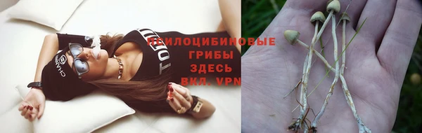 MDMA Краснослободск
