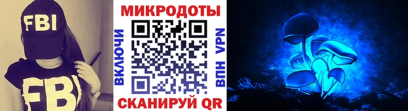 даркнет сайт  Красноперекопск  Псилоцибиновые грибы GOLDEN TEACHER 
