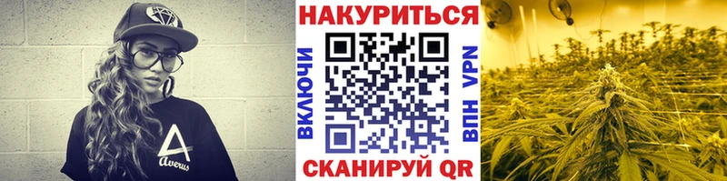 МАРИХУАНА семена  гидра ссылки  Красноперекопск 